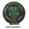 allied command europe mobile force land veteran