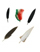 Penne per cappello alpini